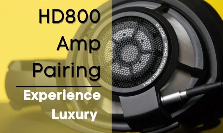 HD800 Amp Pairing