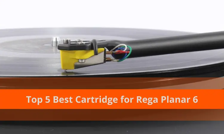 Best Cartridge for Rega Planar 6
