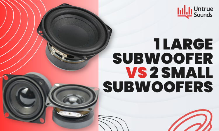 1-Large-Subwoofer-vs-2-Small-Subwoofers